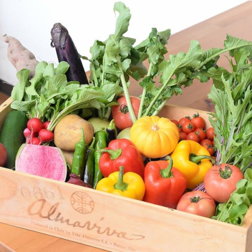 [Vegetable commitment] Carefully selected fresh vegetables ★