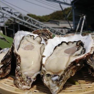 牡蠣