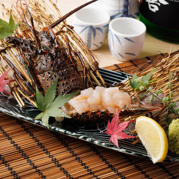 ◆Specialty◆Directly from Mie! Live spiny lobster sashimi