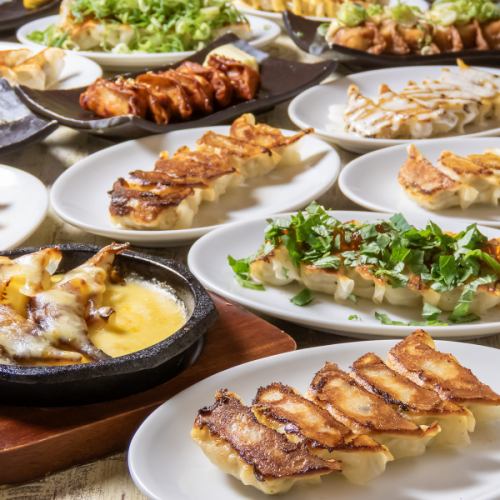 各種餃子をご用意してます
