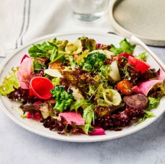 契約農家のガーデンサラダ