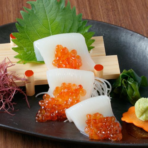 진정한 오징어의 생선회