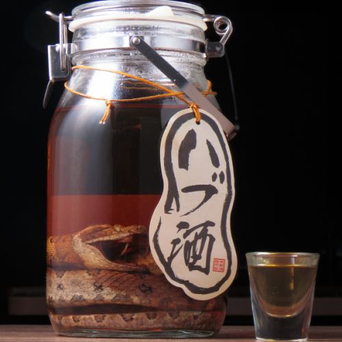 沖縄の珍酒『ハブ酒』