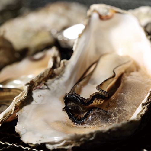 焼き牡蠣×ガンガン焼き