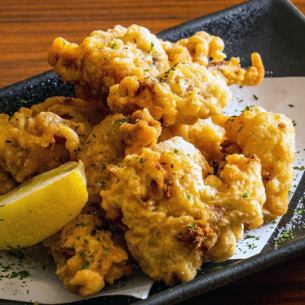 鶏の唐揚げ　各種