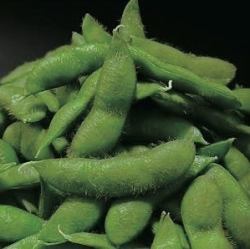 塩茹で枝豆