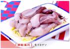 生鱿鱼