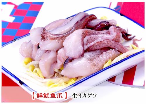 生鱿鱼