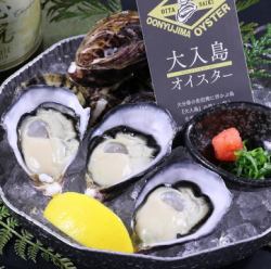 Oinyu Island Oyster (1 piece)