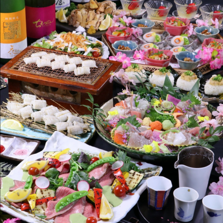 はちおの名物豊後ブランド鮮魚八種盛りと春食材と名物料理満喫コース【料理のみ】4400円(税込)