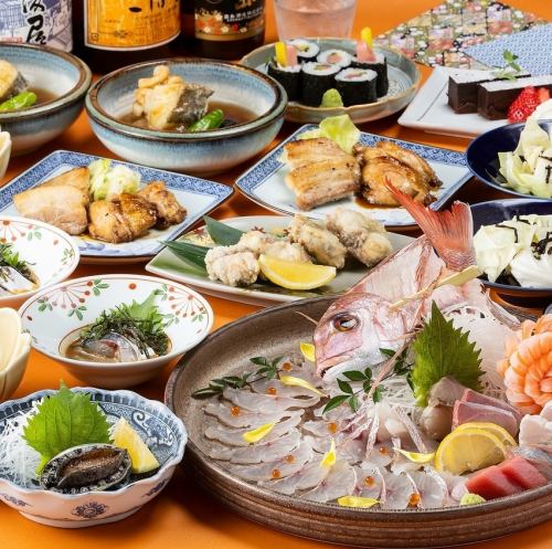 ☆庆祝成立五周年☆ 今天又收获满满！天神大春海