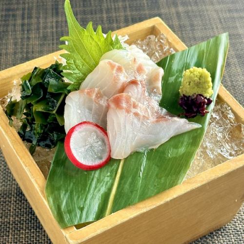 Today's carefully selected white fish sashimi