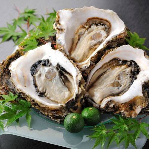 Oysters in shell (2 pieces)