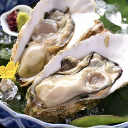 Oysters with shell (2 pieces)