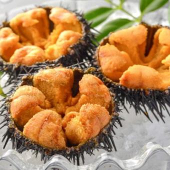 旬味がぜうに