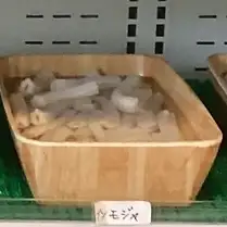 ブンモジャ