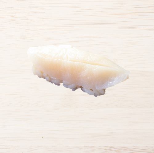 23. Surf Clam / 24. Live Surf Clam / 25. Scallop / 26. Ark Shell / 27. Live Ark Shell