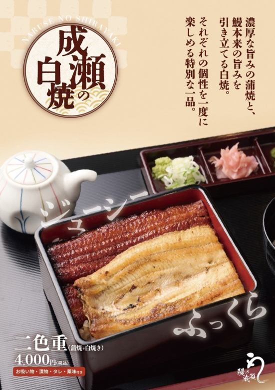 ふっくら 成瀬の白焼 二色重(蒲焼・白焼き)