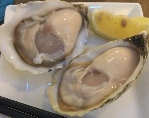 Excellent freshness! Safe and secure raw oysters! Sold daily !!