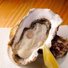 Directly from the production area! 3 raw oysters \ 1100