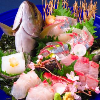 長崎県産鮮魚の姿盛り