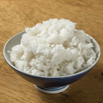 白ごはん(大・中・小・マンガ盛り)