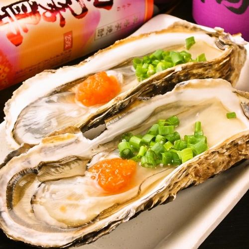 鮮度抜群!大振りで濃厚なぷりっぷり生牡蠣1杯250円