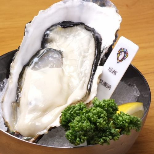 ◎鮮度にこだわった生牡蠣