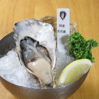 ★★★《北海道》根室