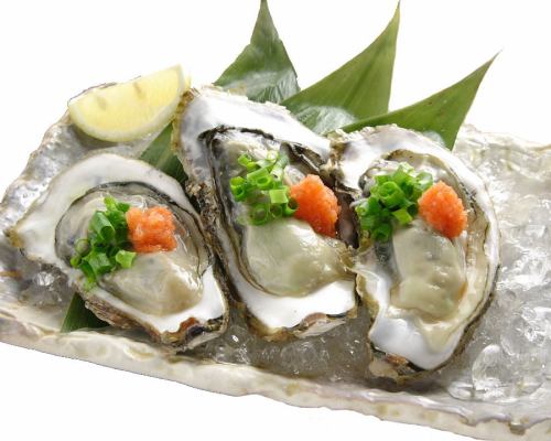 Raw oysters