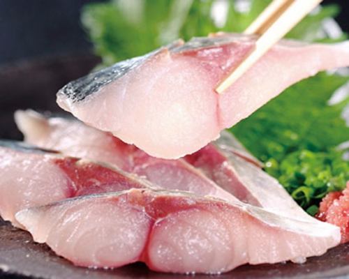seasonal sashimi