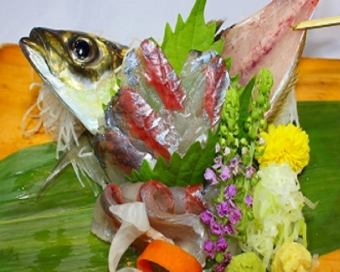 Sashimi of live horse mackerel