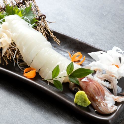 【漁港直送！活イカの姿造り】数量限定で毎朝漁港から直送の活魚を満喫◎活イカの姿造りは2178円～