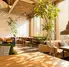 THE CAFE LUDE