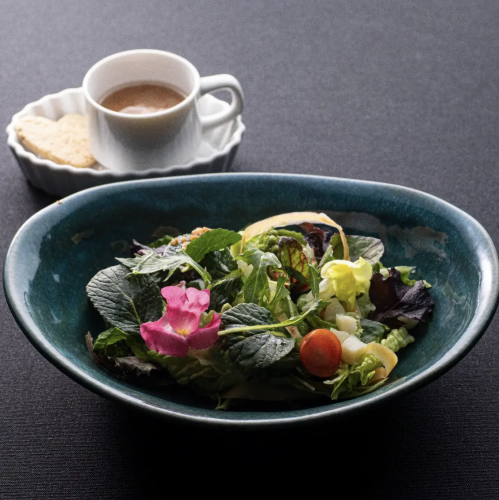 野菜を“CRAU”10種野菜のベジサラダ