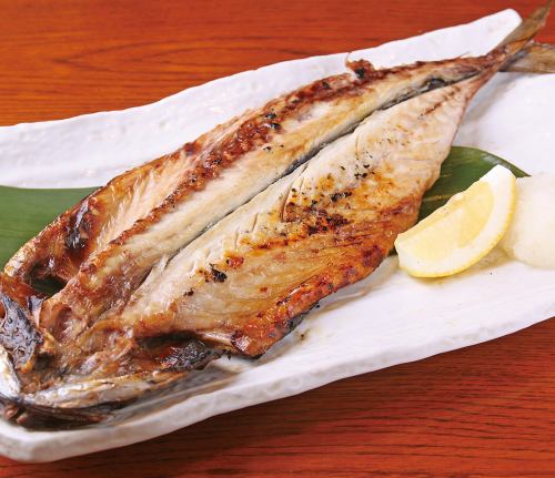 From Shimoda! Oversized! Whole toro mackerel open