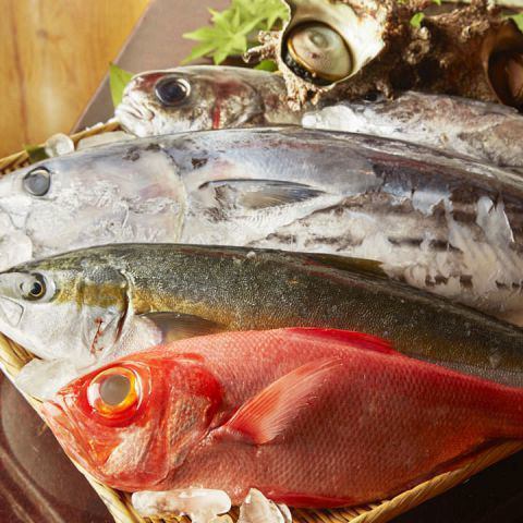 ◆魚市場ならではの素材