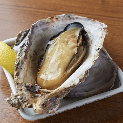 [From Sakoshi, Hyogo Prefecture] Grilled oysters [1 piece]