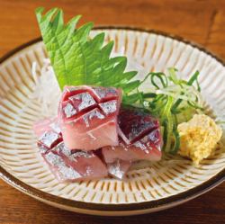 horse mackerel