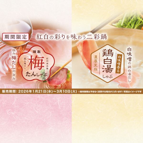 【期間限定:食べ放題】「梅たんしゃぶ・豚コース」「鶏白湯しゃぶ・豚コース」4,158円(税込)~
