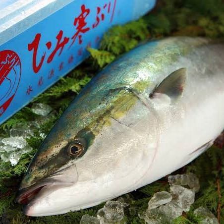 Freshly picked fish is excellent ◎ Fatty yellowtail is excellent!