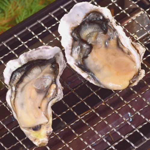 3 grilled oysters
