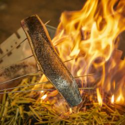 Straw-grilled bonito