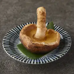 肉厚寅王しいたけ