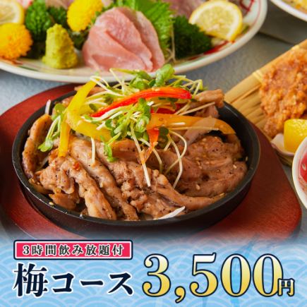 3時間飲み放題◆国産鶏のせせり鉄板焼きやお刺身2点盛り等全9品『梅コース』3500円/金土日2時間