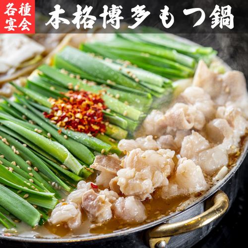 【コスパ最強】季節限定!!本格もつ鍋やリーズナブルな数々の逸品料理