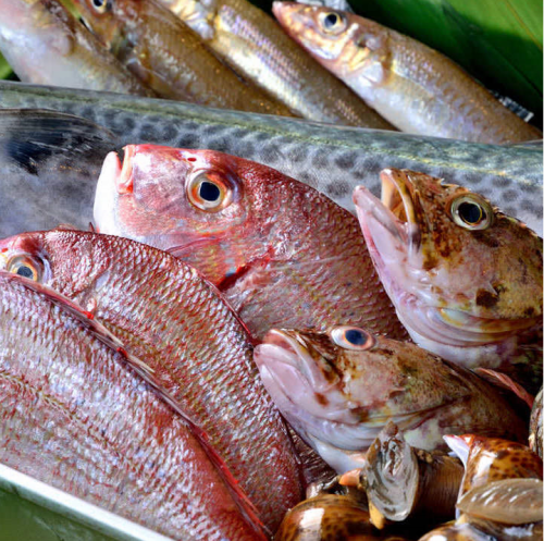 【厳選・新鮮・美味】こだわり抜いた美味しい魚たち★