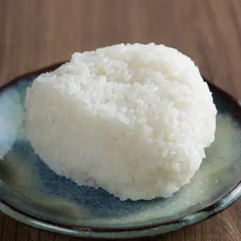 塩むすび（1個）