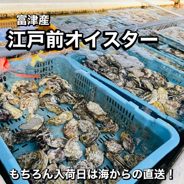 Limited edition★ Edomae oysters from Futtsu are delivered directly from the fishing port!