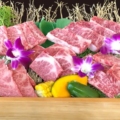 <Kagoshima Kuroge Wagyu Beef> Assorted Aged Meat 3 Kinds of Wagyu Beef / 5 Kinds of Wagyu Beef